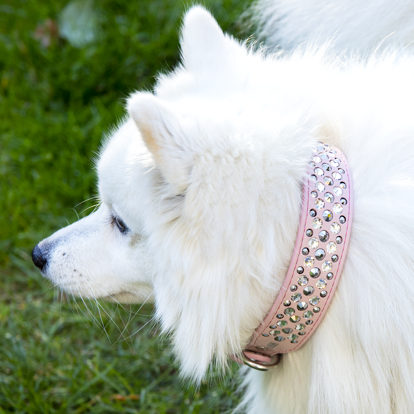 Collar Cromo Rosa