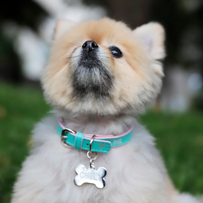 Collar con Placa Menta