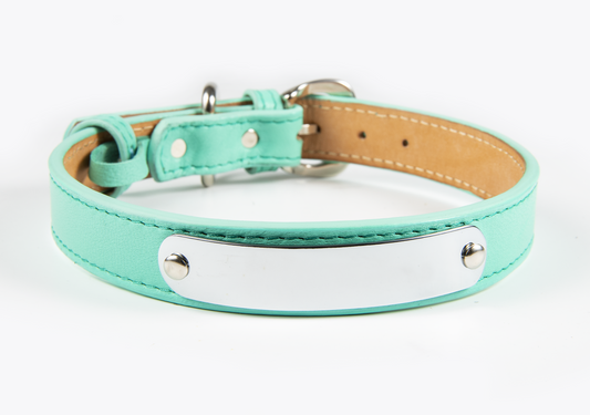 Collar de Identificación Personalizado Menta