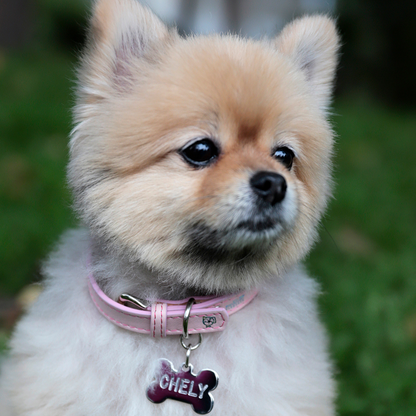 Collar con Placa Rosa