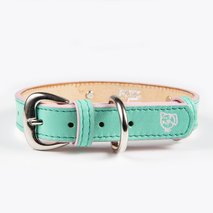 Collar con Placa Menta
