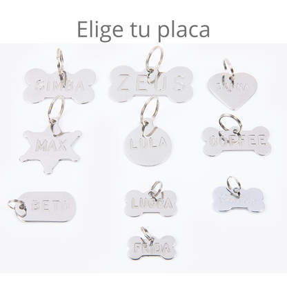 Collar con Placa Menta