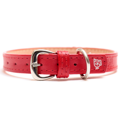 Collar con Placa Rojo