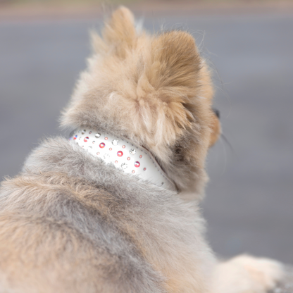 Collar Ginger Blanco