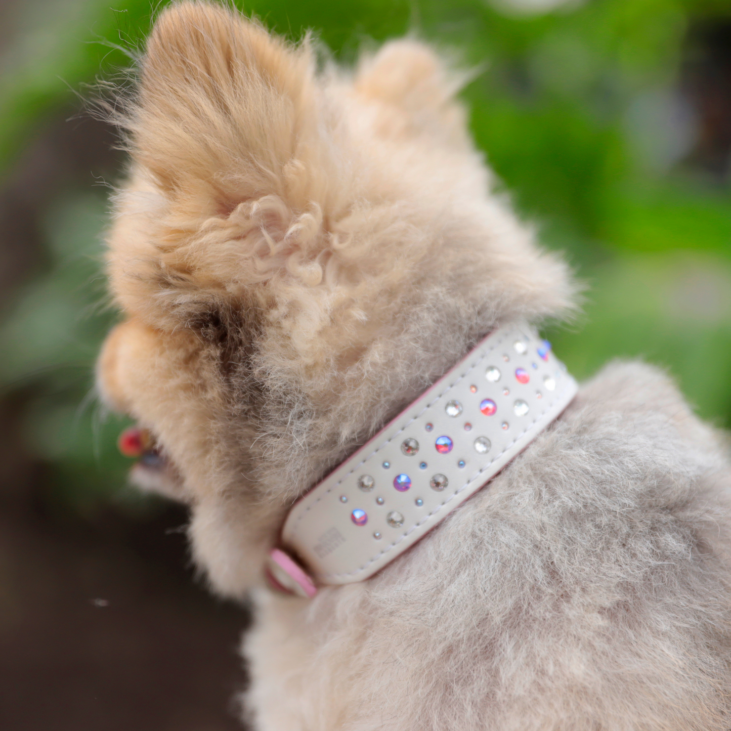 Collar Ginger Blanco