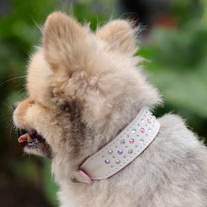 Collar Ginger Blanco