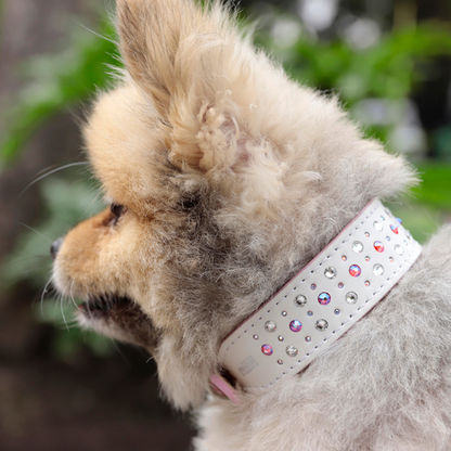 Collar Ginger Blanco