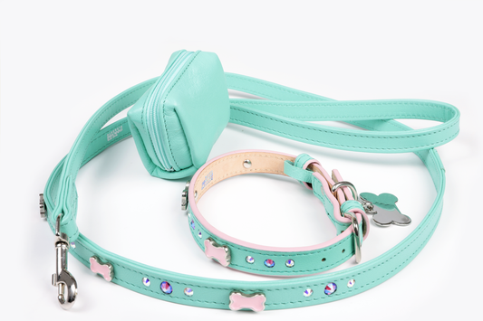 Set Hueso Menta