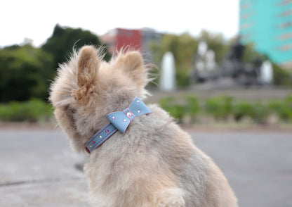 Collar Moño Azul