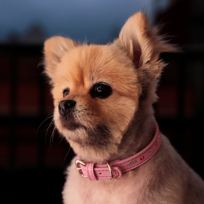 Collar Flor Rosa
